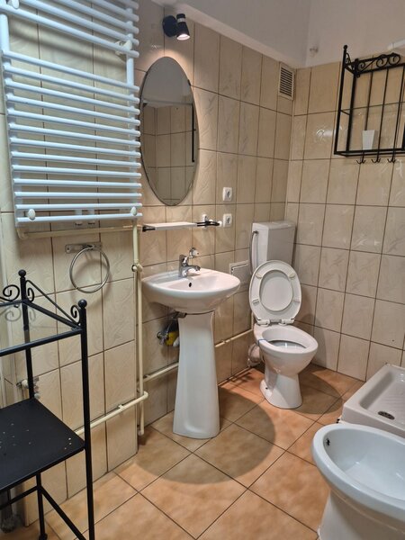 Sala Palatului, Brezoianu,